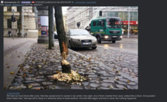 image: Screenshot 2025-12-23 at 12-35-56 _pol_ - This is what a chad politician looks like - Politically Incorrect - 4chan.png